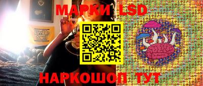 кокс Кандалакша