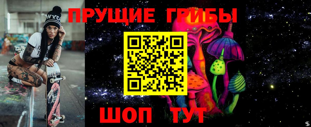 Псилоцибиновые грибы Psilocybe Магадан