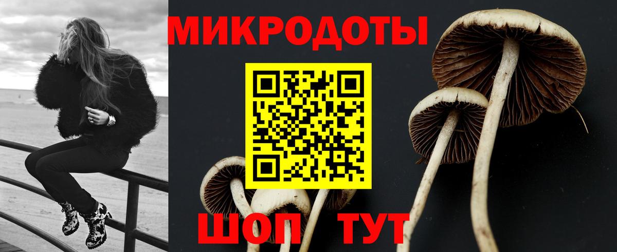 Псилоцибиновые грибы Cubensis  Вход с VPN  Магадан  Галлюциногенные грибы мухоморы 
